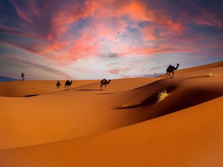 Morocco-sahara-tours-agency